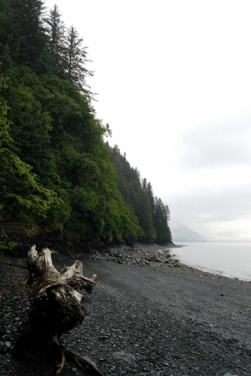 Wall Poster - Coastal Cliffs in Alaska