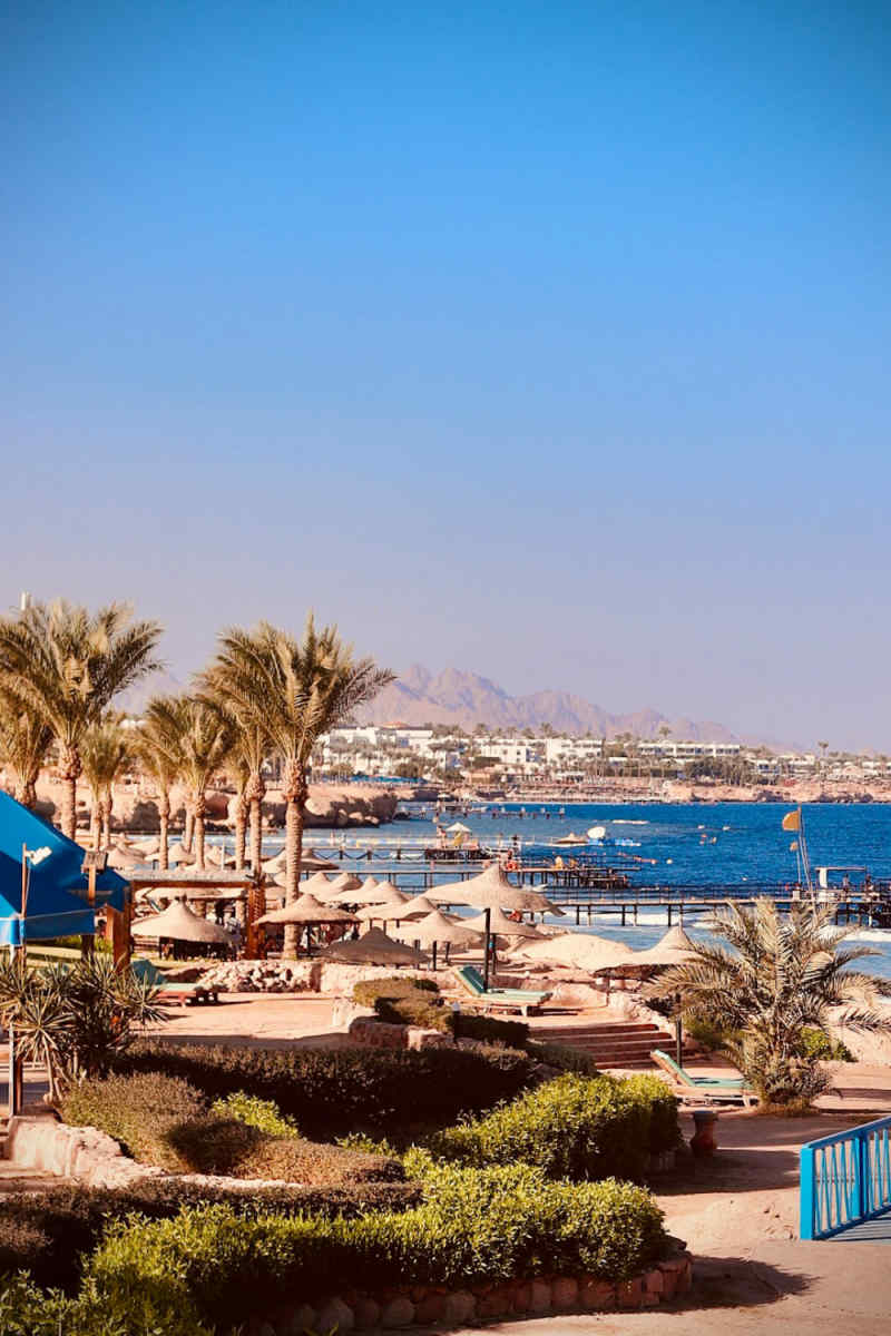 Wall Poster - Coastline in Egypt