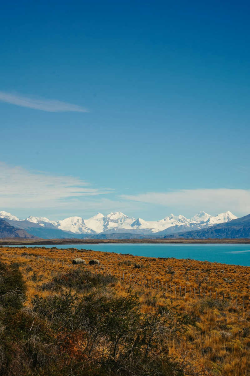 Wall Poster - Coastline in Patagonia