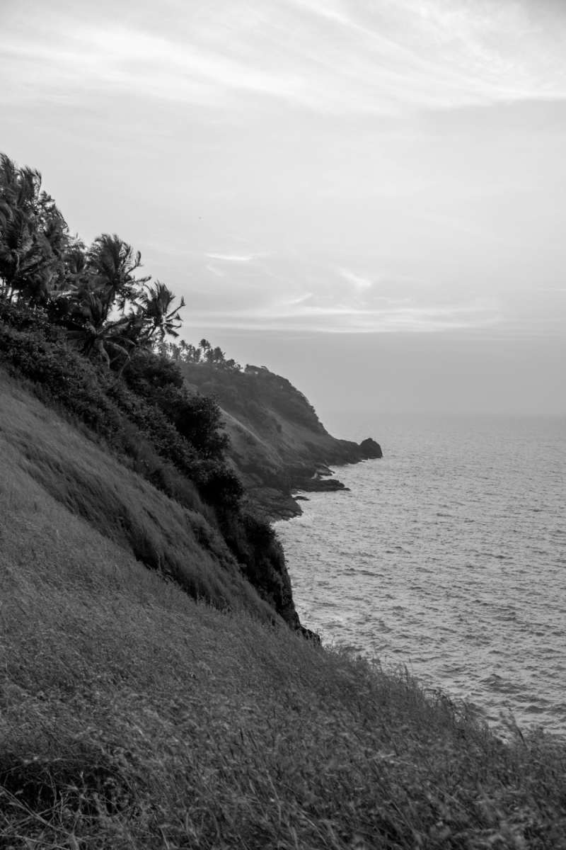 Wall Poster - Coastline in the Black Forest