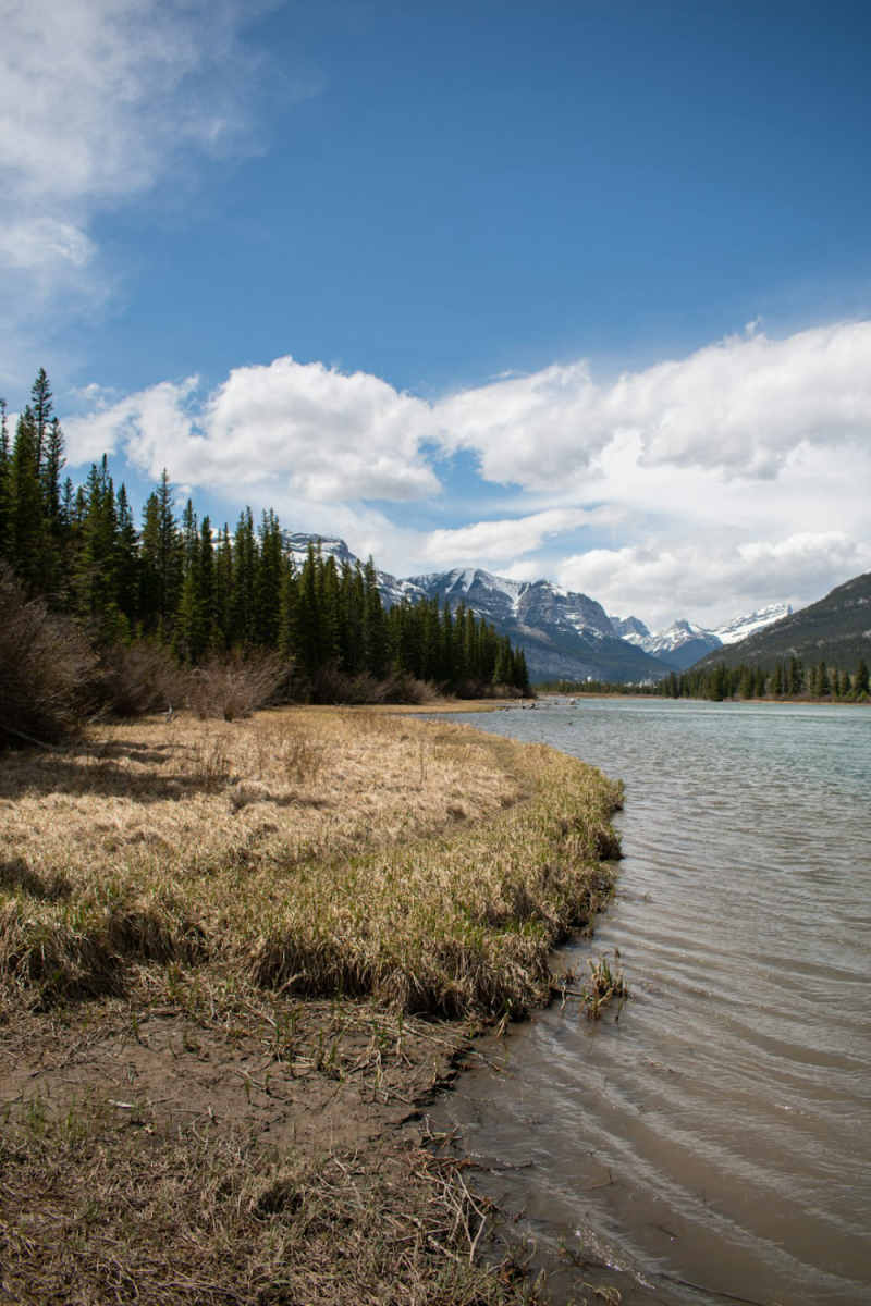 Wall Poster - Coastline in the Canadian Rockies
