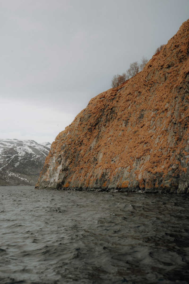 Wall Poster - Coastline in the Rocky Mountains
