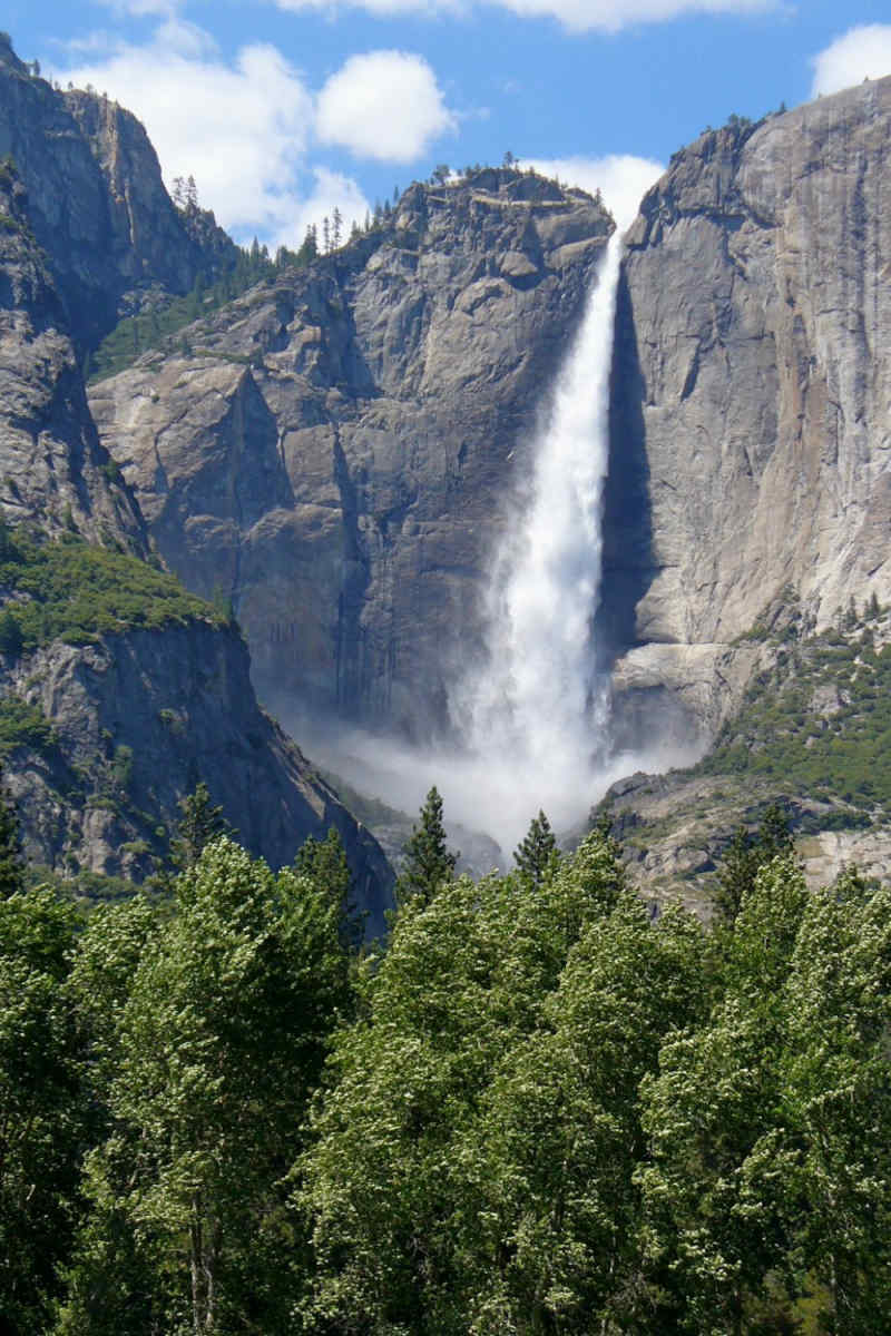Wall Poster - Coastline in Yosemite