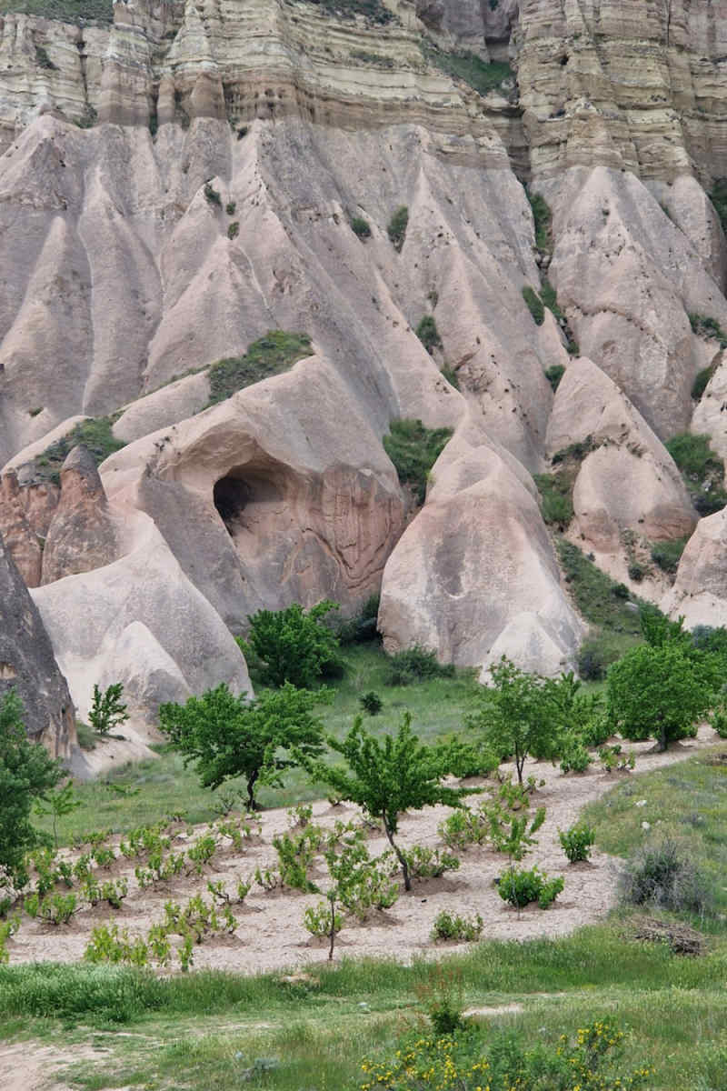 Wall Poster - Coral Reef in Cappadocia