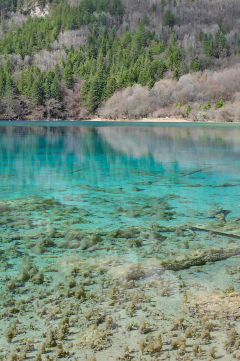 Wall Poster - Coral Reef in China