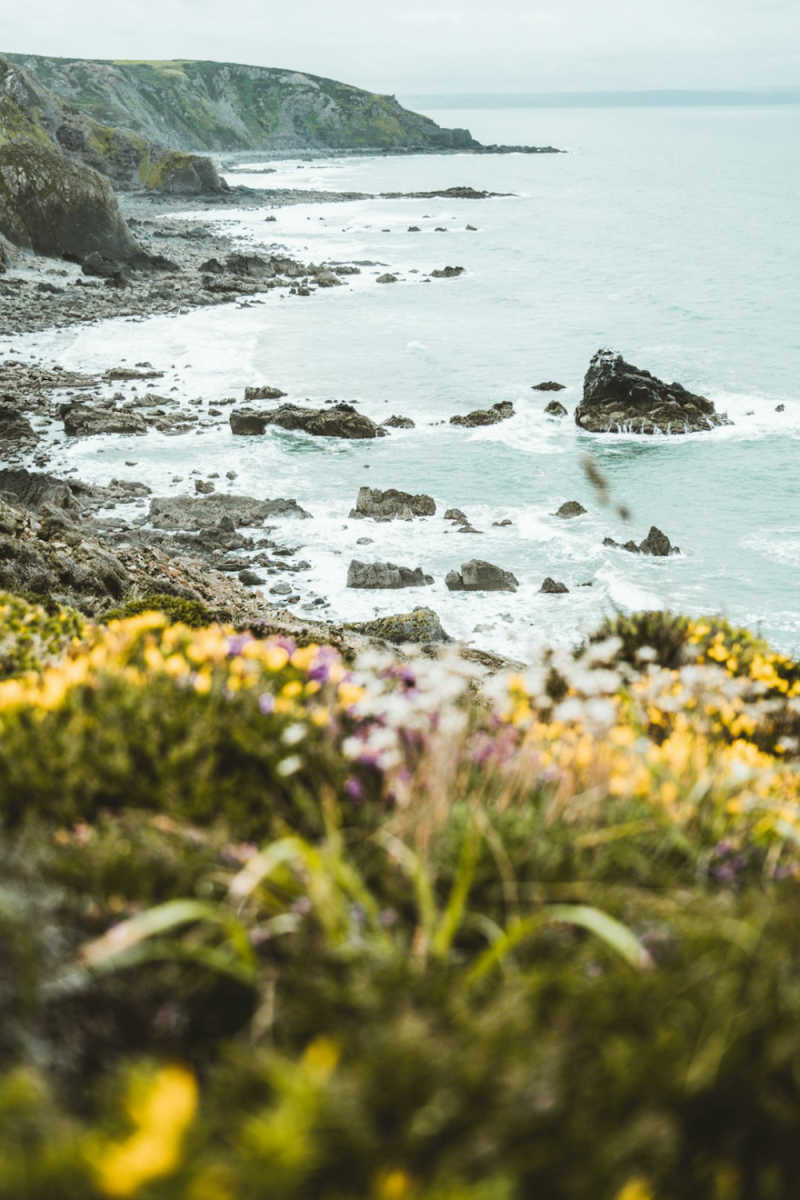 Wall Poster - Coral Reef in Cornwall