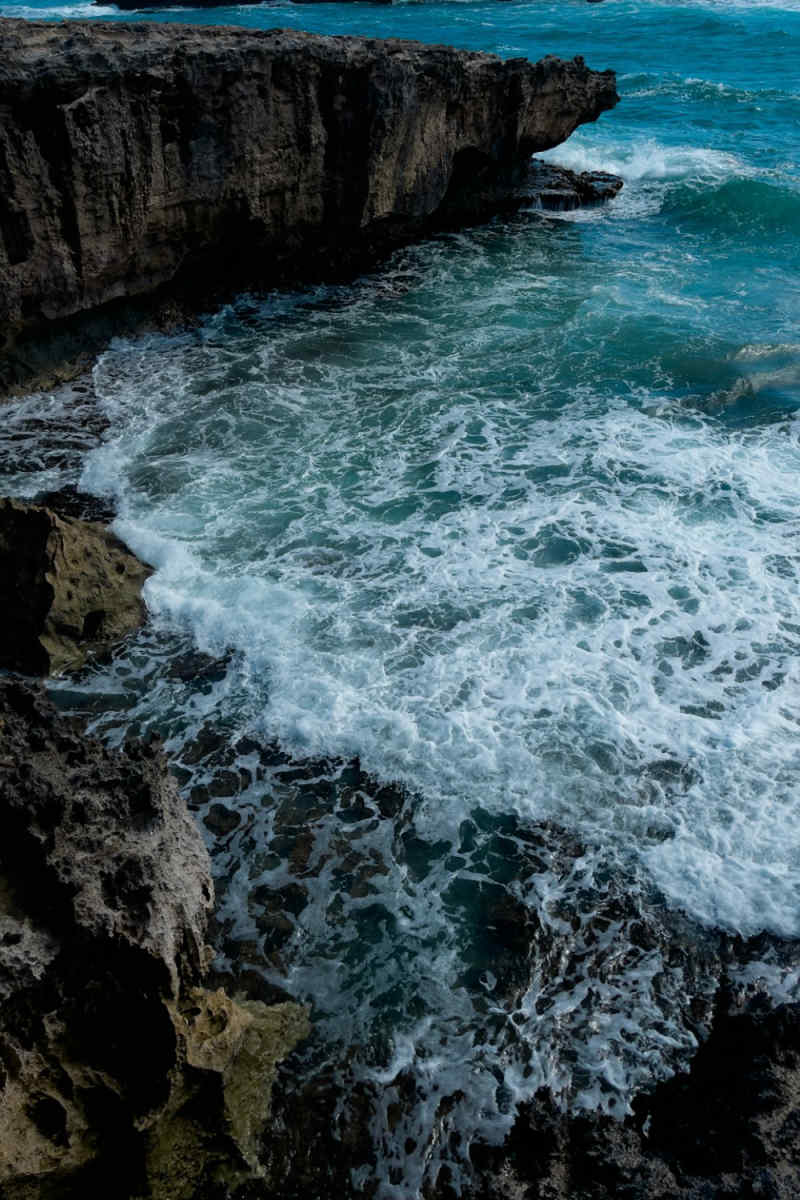 Wall Poster - Coral Reef in Hawaii