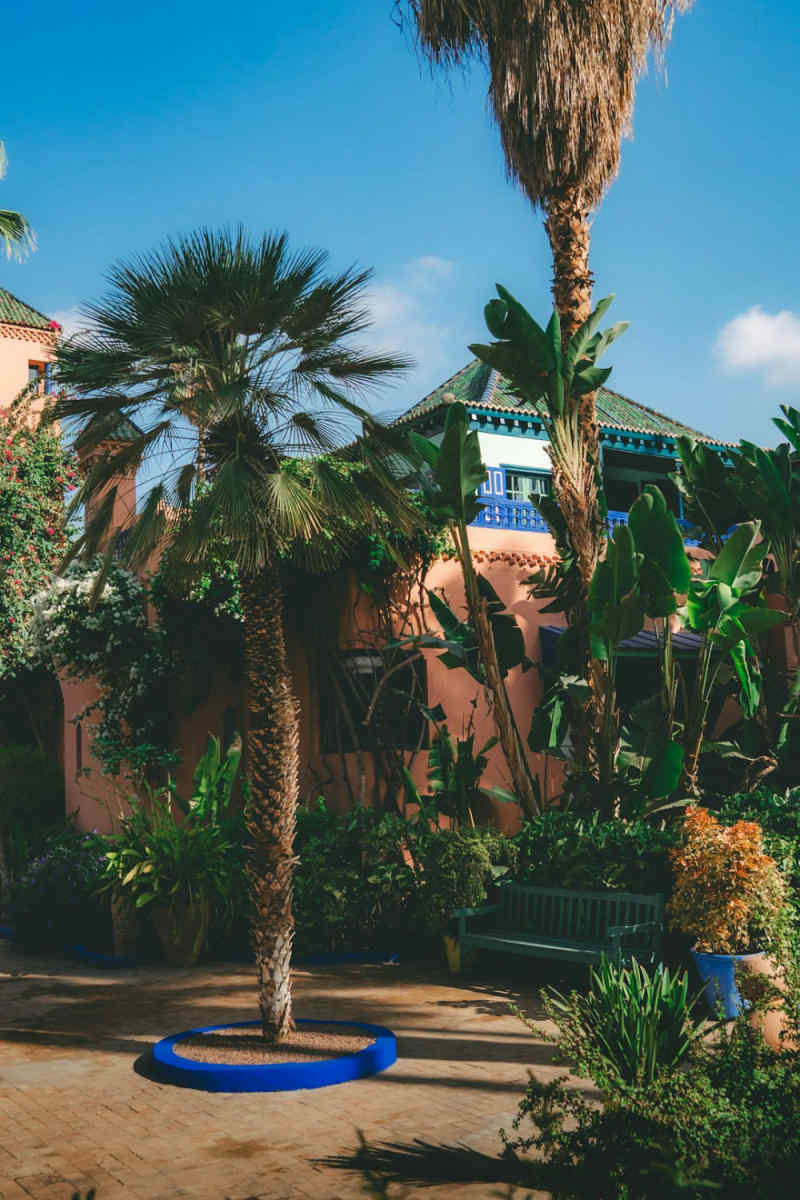 Wall Poster - Coral Reef in Marrakech