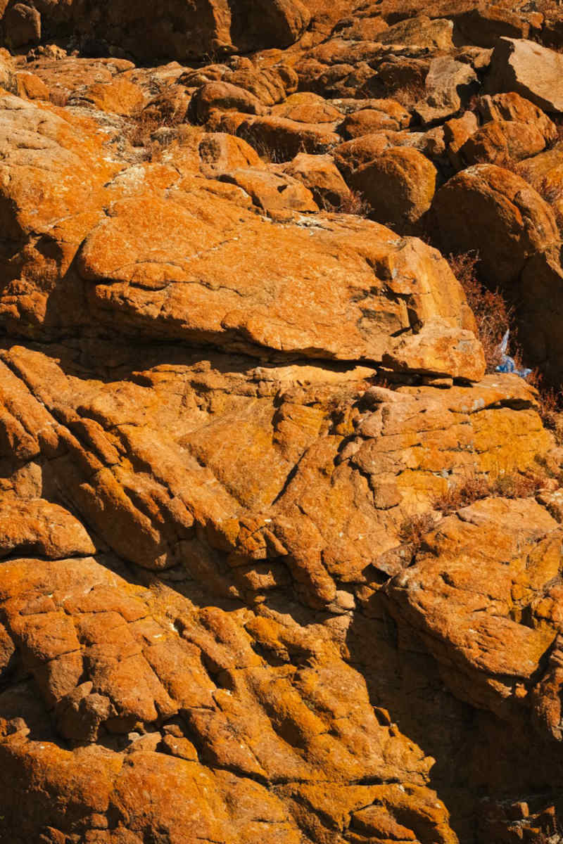 Wall Poster - Coral Reef in Mongolia