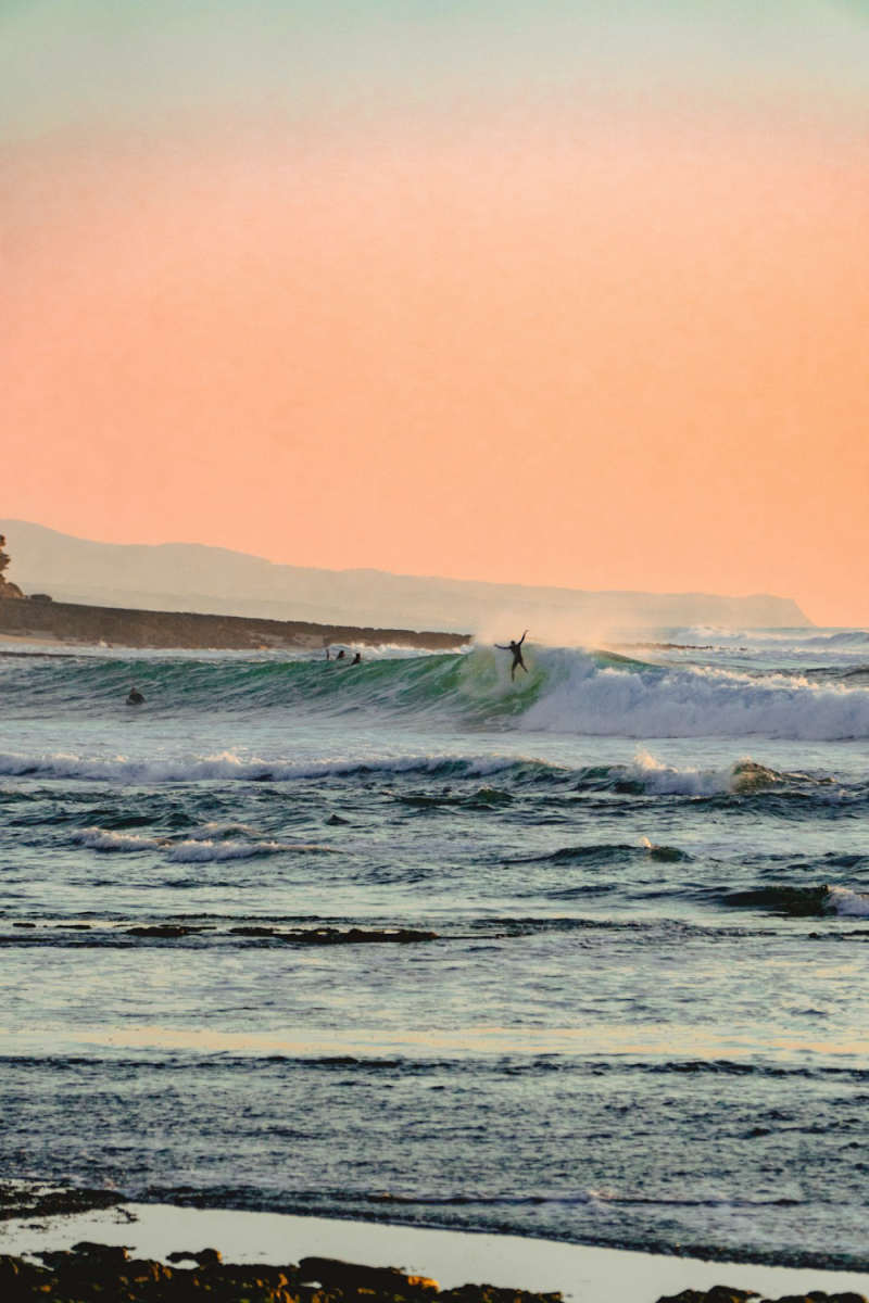 Wall Poster - Coral Reef in Portugal