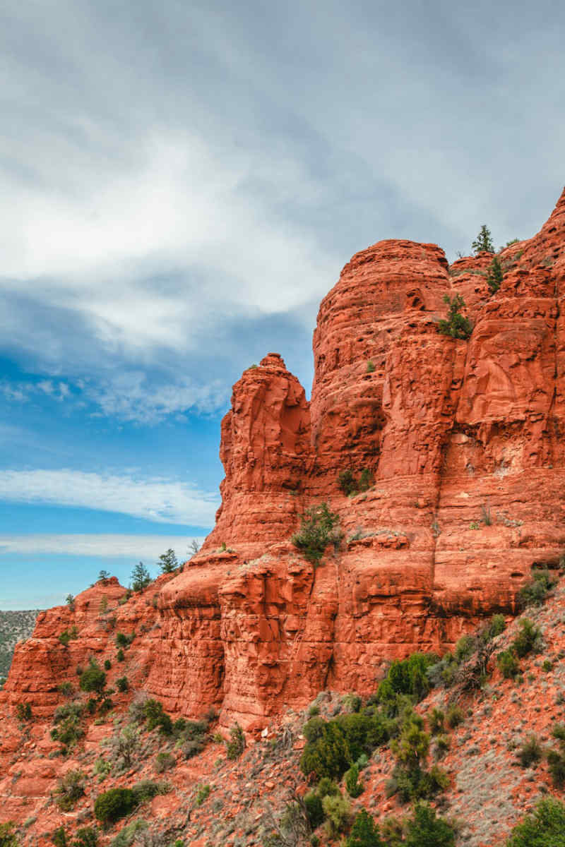 Wall Poster - Coral Reef in Sedona
