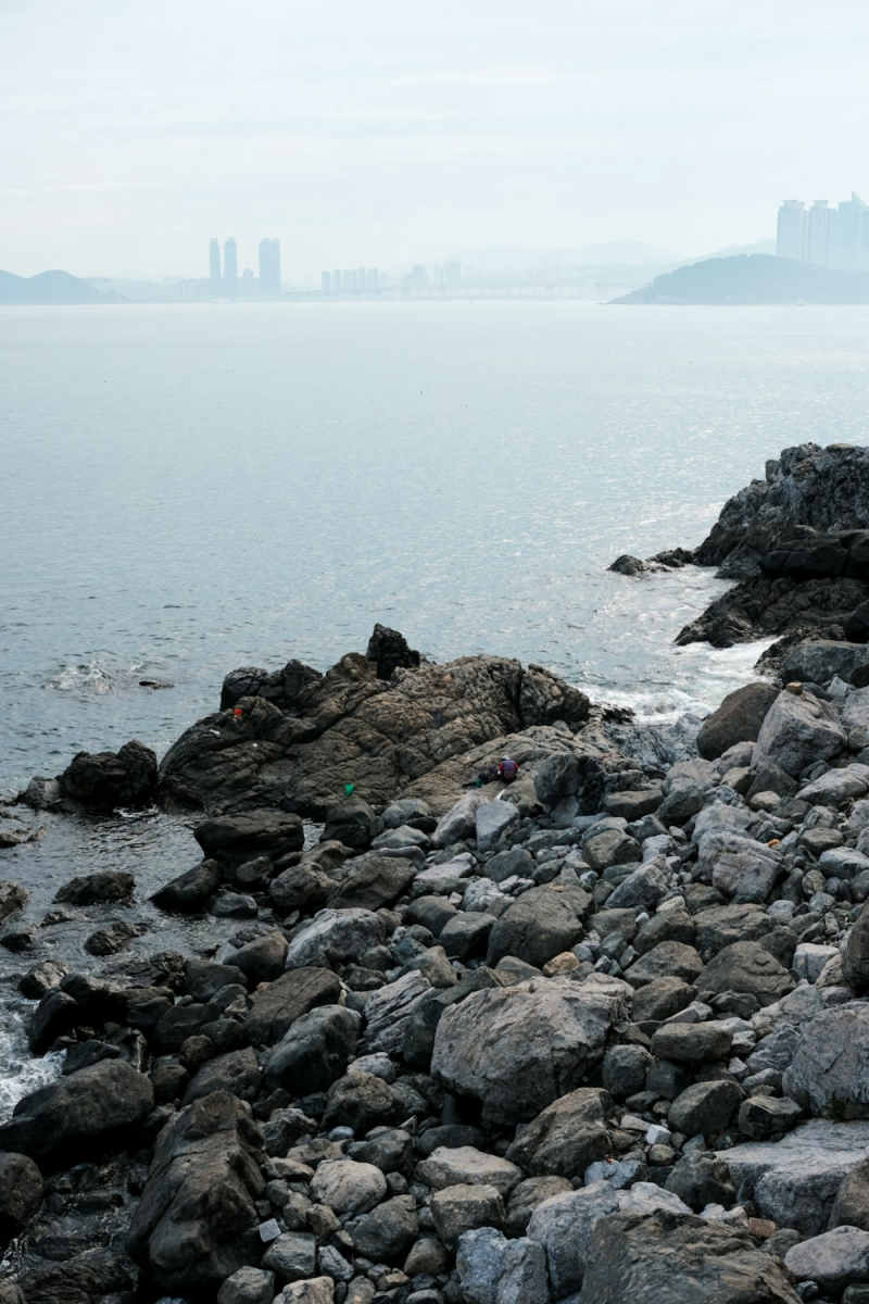 Wall Poster - Coral Reef in South Korea