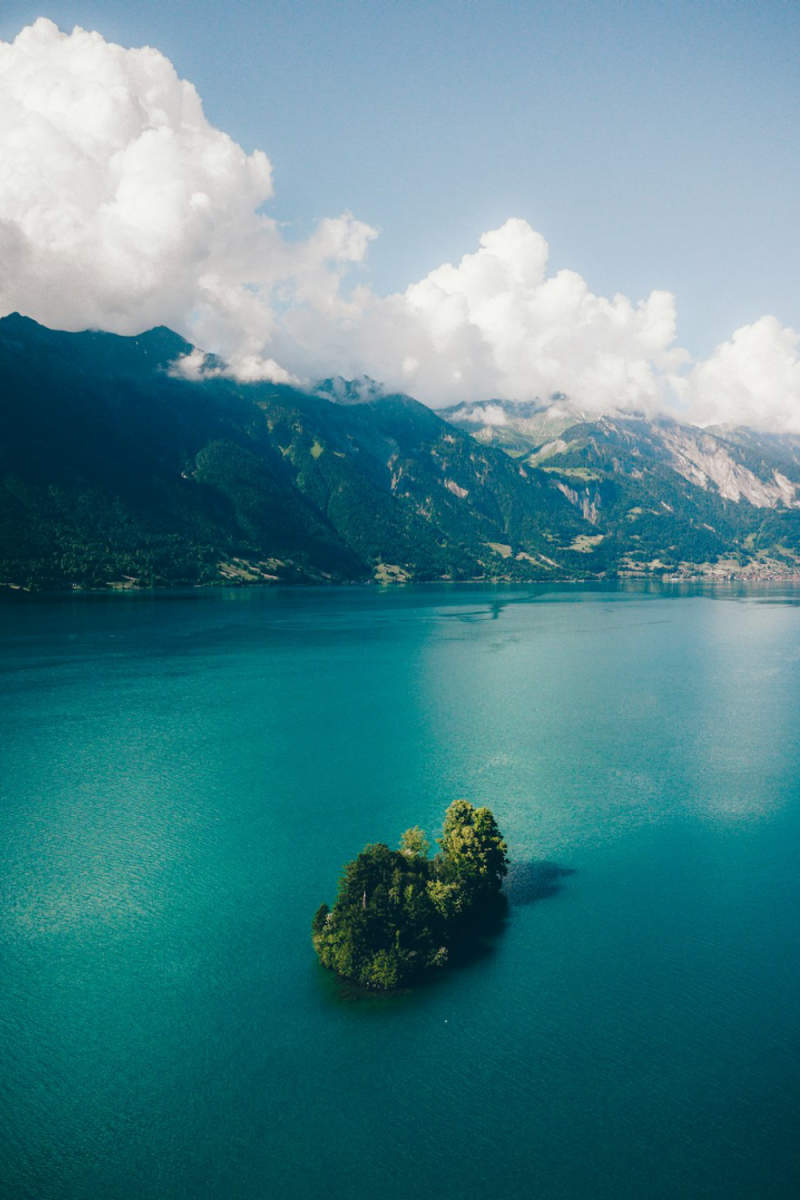 Wall Poster - Coral Reef in Switzerland