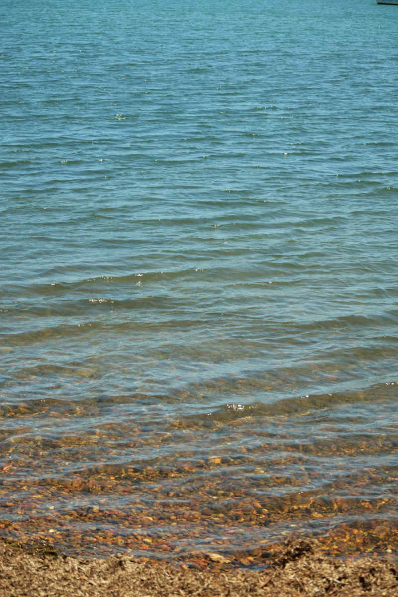 Wall Poster - Coral Reef in the Lake District