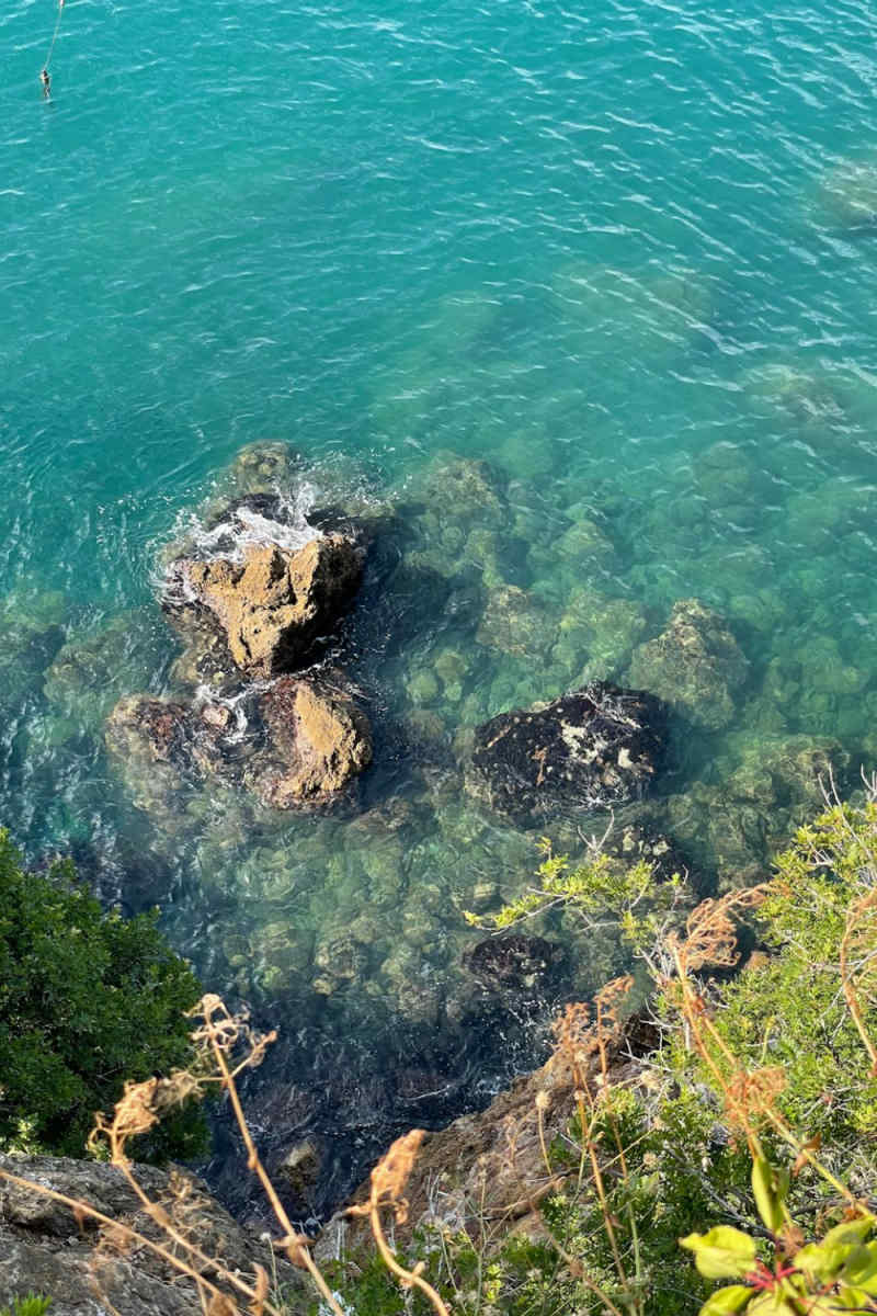 Wall Poster - Coral Reef in Tuscany