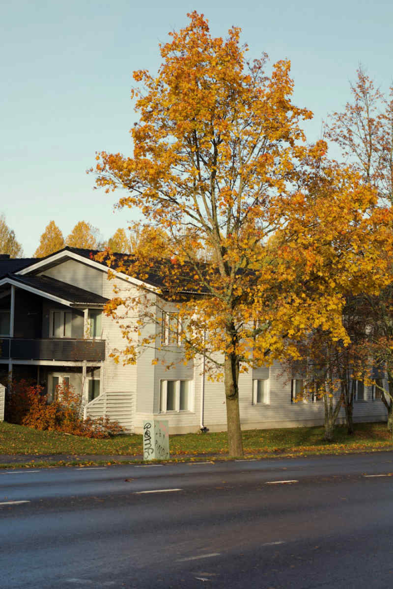 Wall Poster - Countryside in Finland