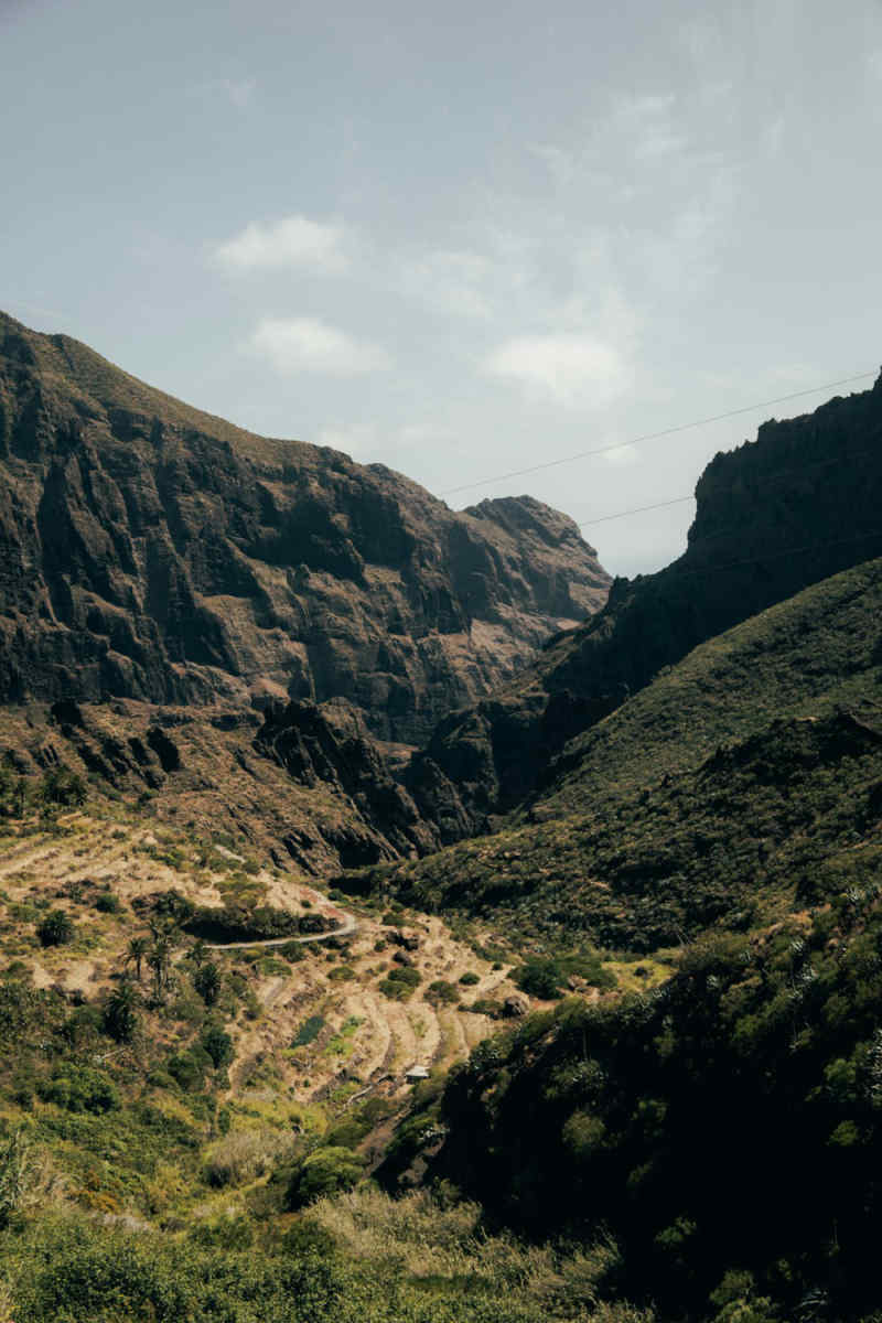 Wall Poster - Countryside in the Canary Islands
