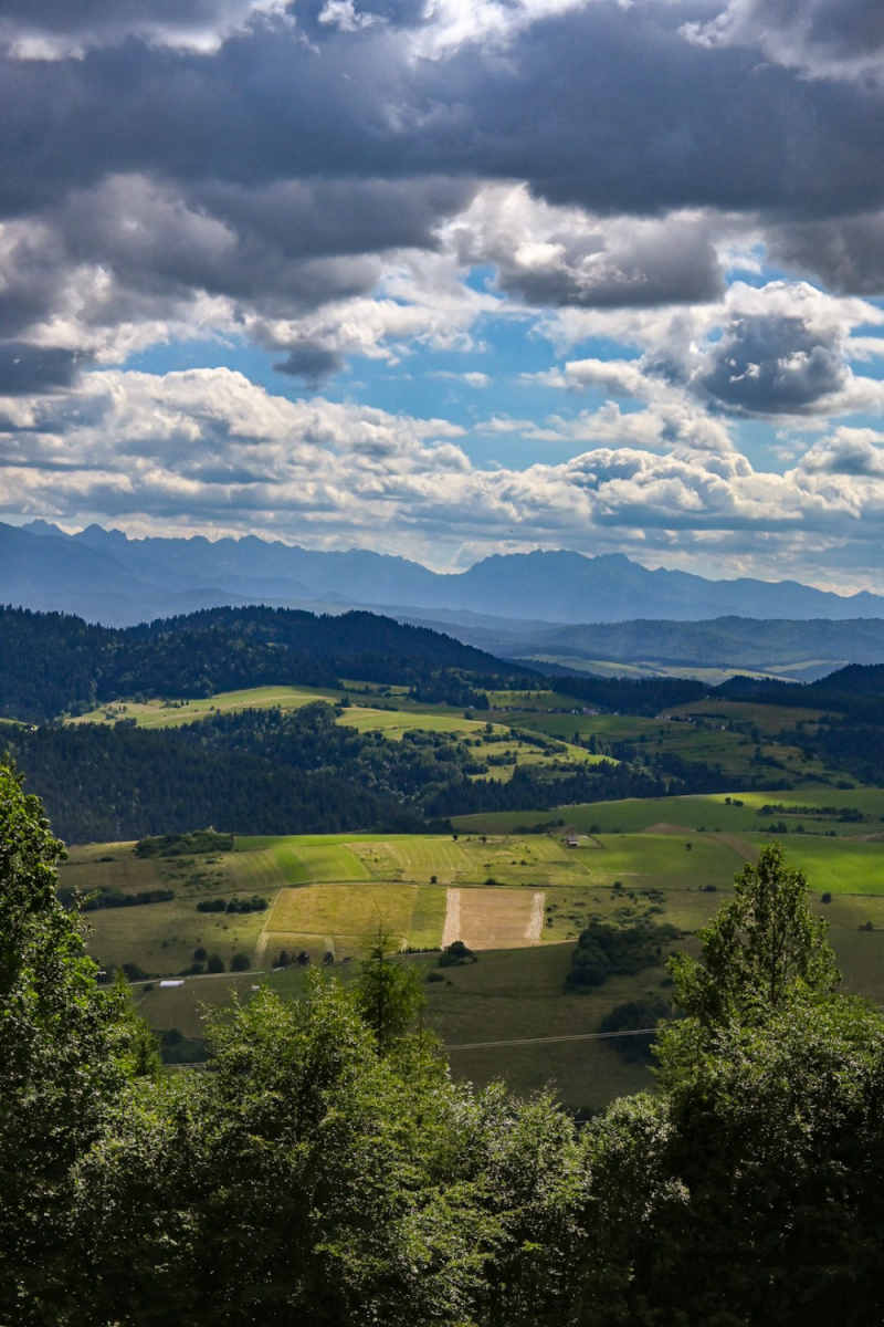 Wall Poster - Countryside in the Grand Tetons