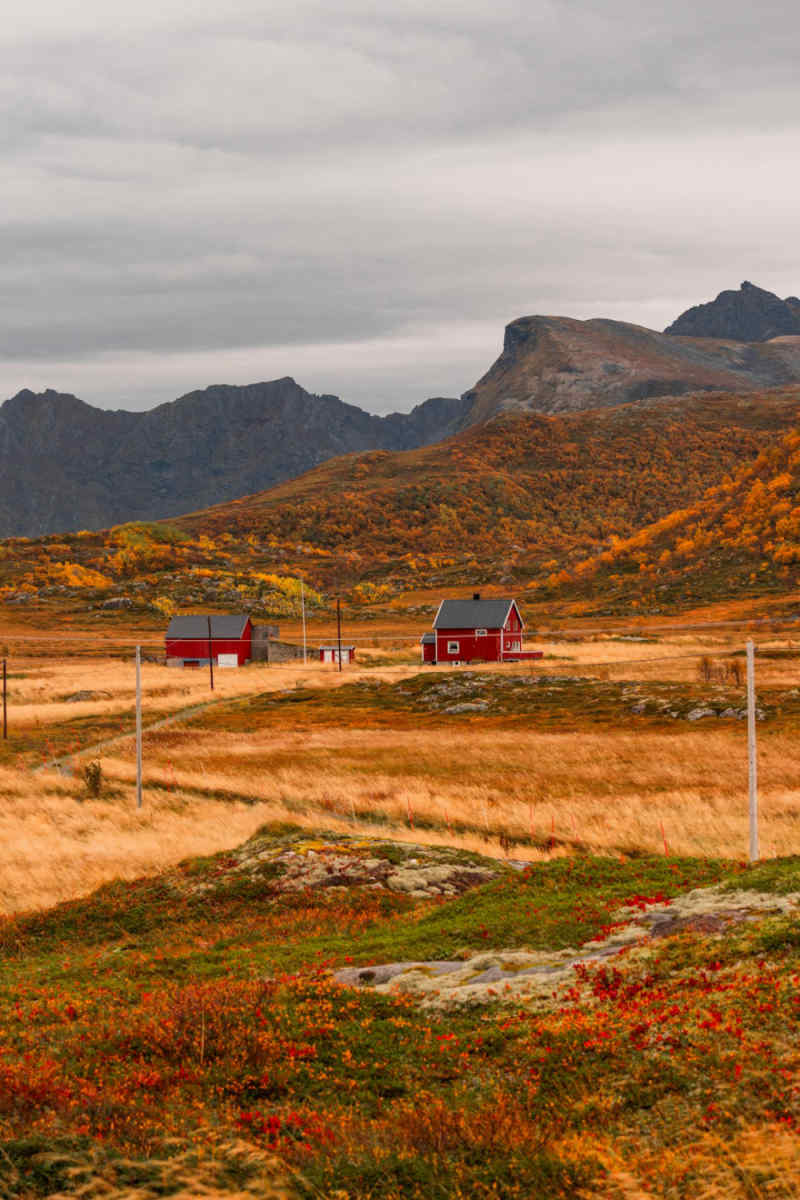 Wall Poster - Countryside in the Lofoten Islands