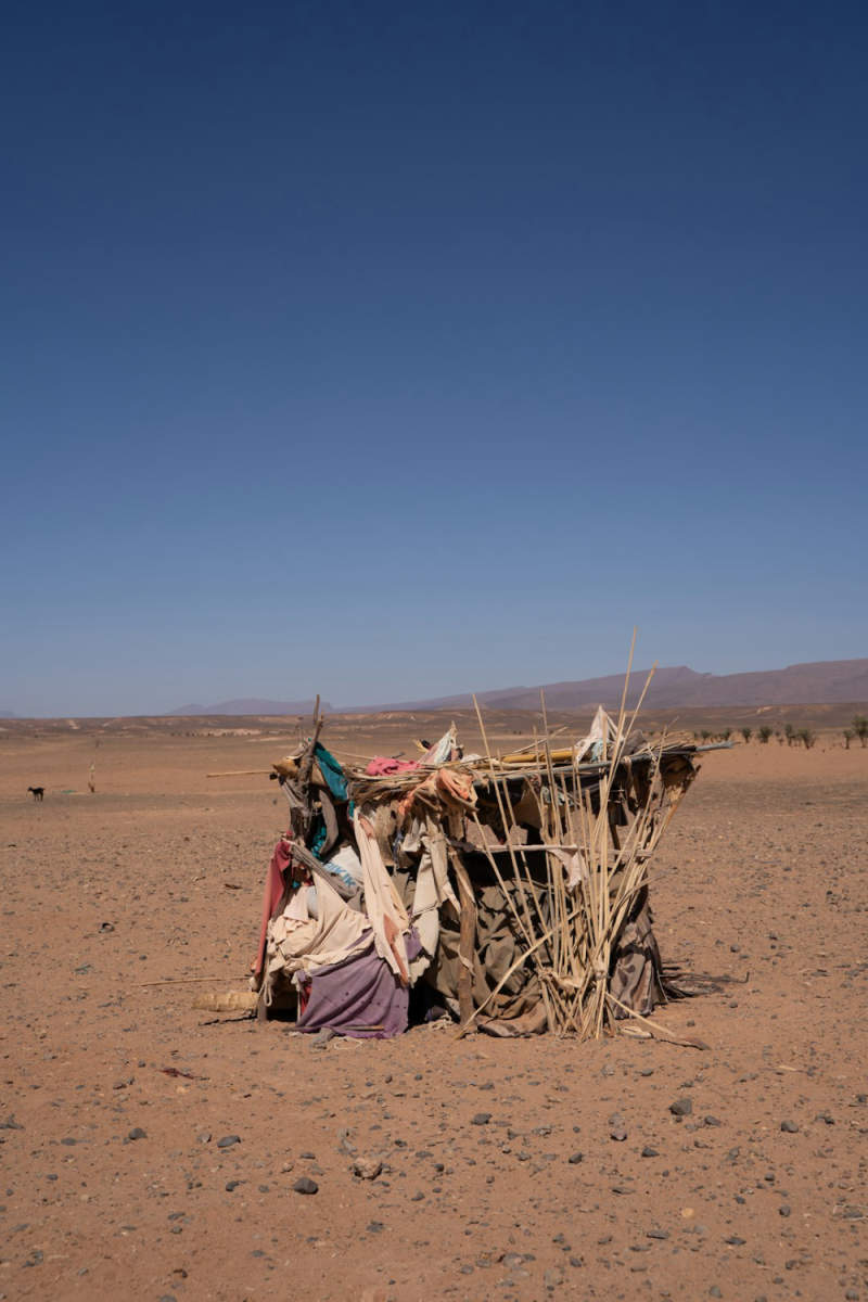 Wall Poster - Countryside in the Sahara