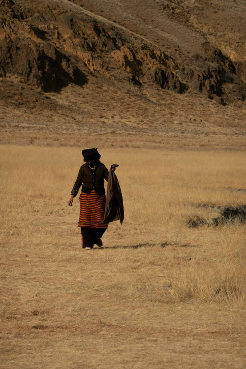 Wall Poster - Countryside in Tibet