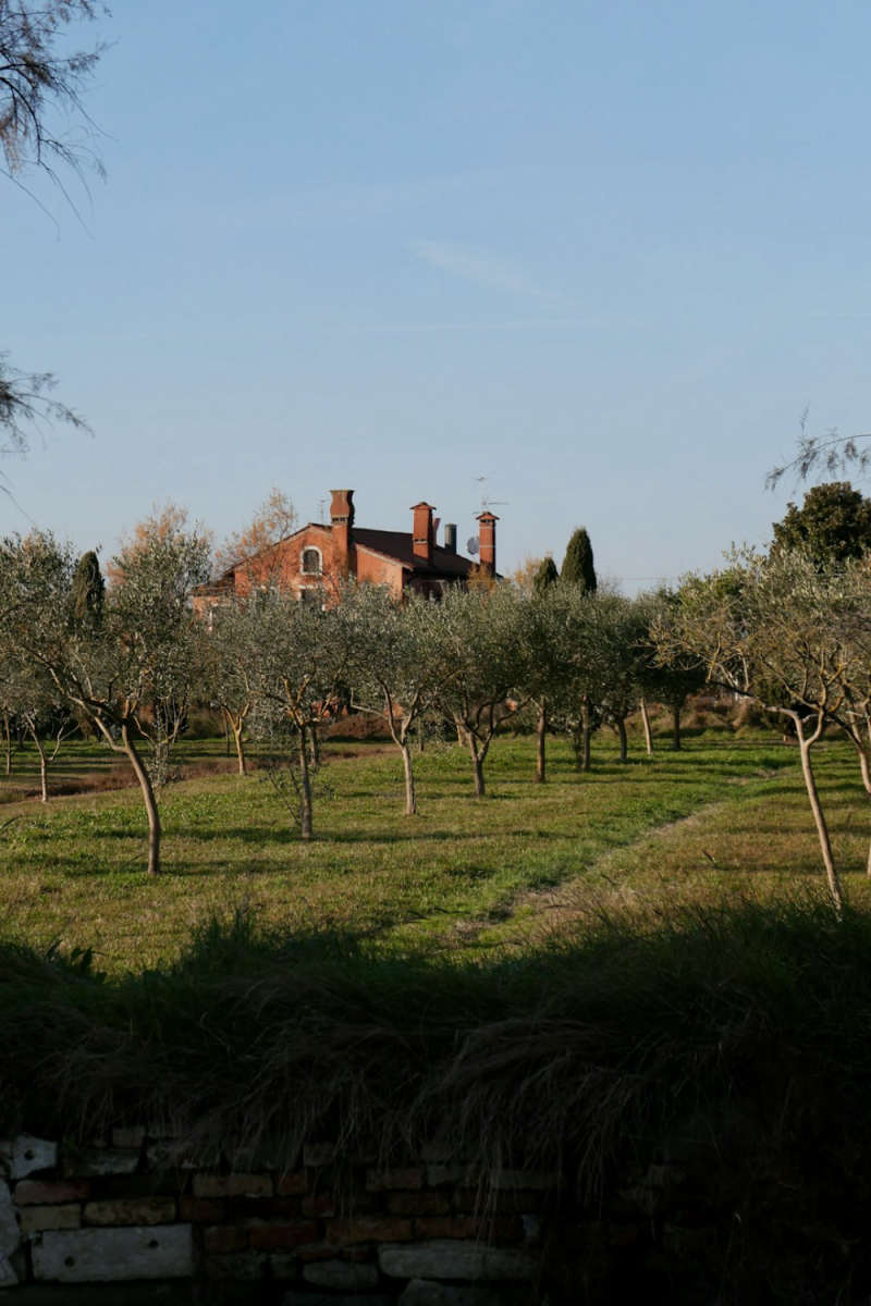 Wall Poster - Countryside in Venice