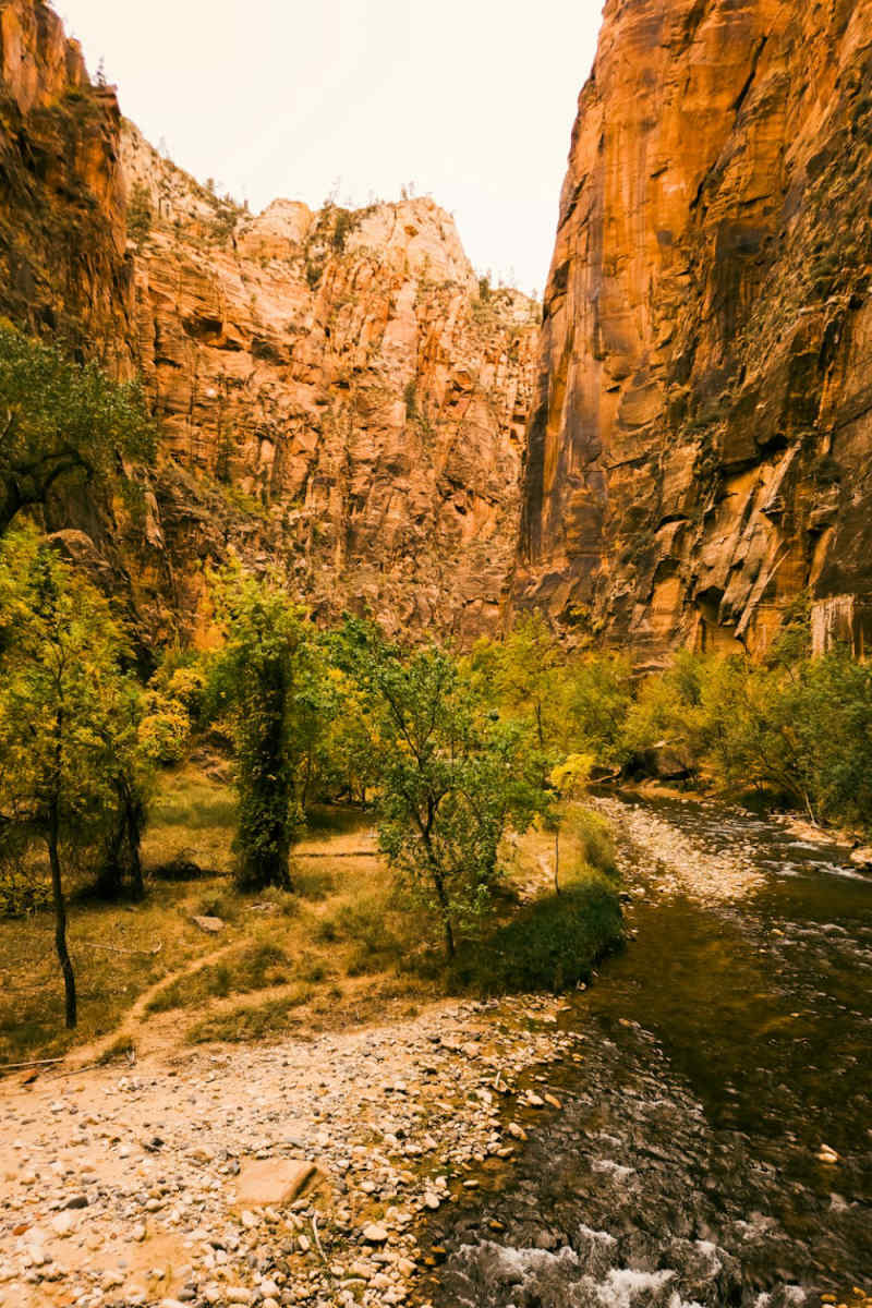 Wall Poster - Countryside in Zion National Park
