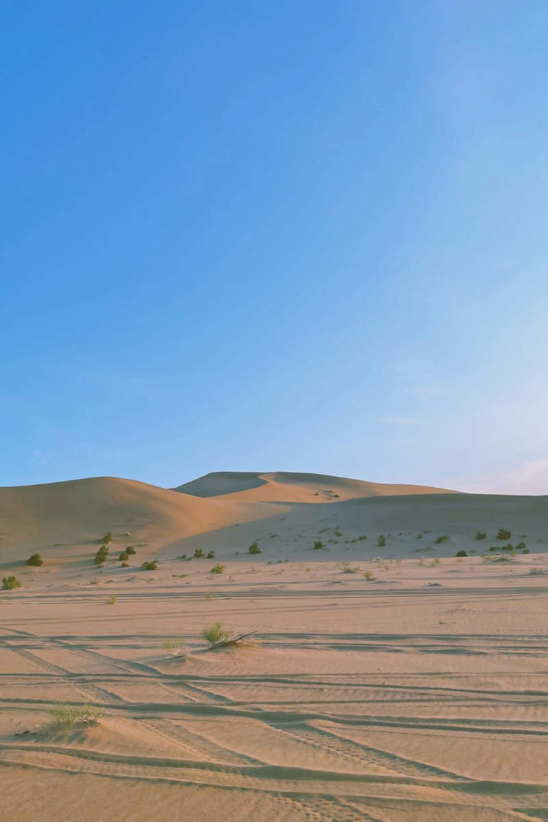 Wall Poster - Desert in China