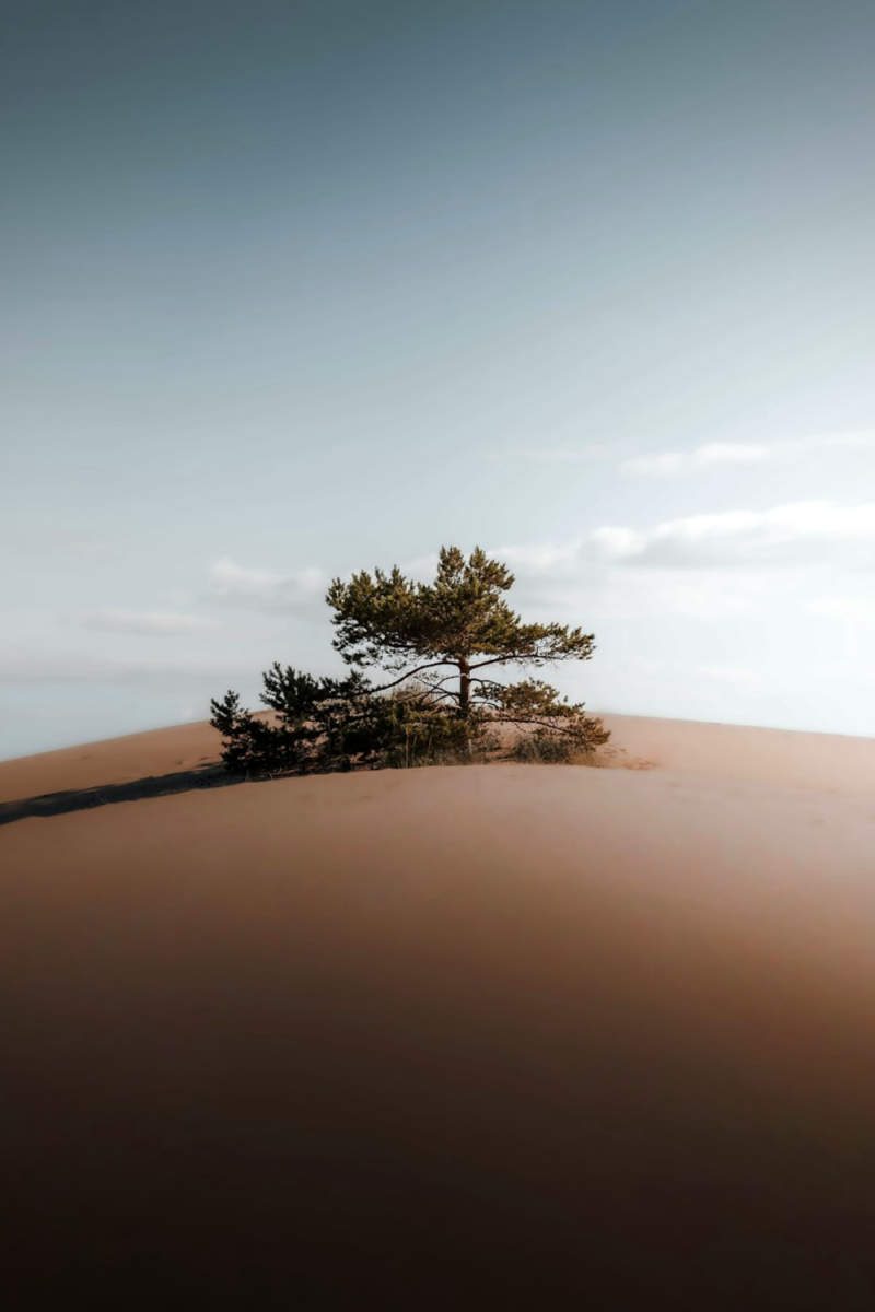 Wall Poster - Desert in Finland