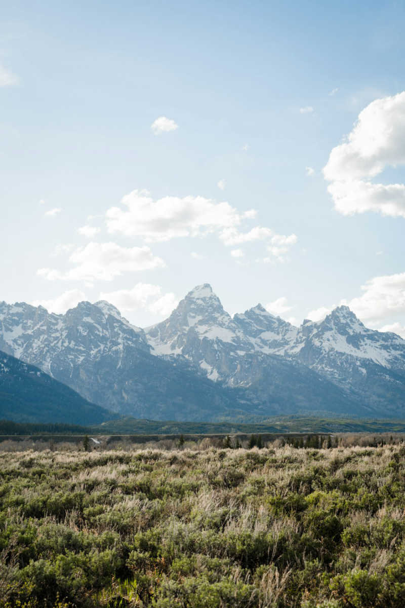 Wall Poster - Desert in the Grand Tetons