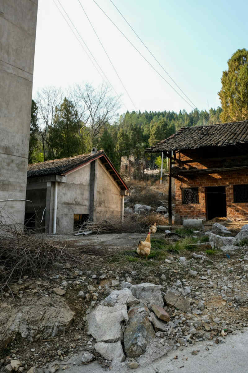 Wall Poster - Farmhouse in China