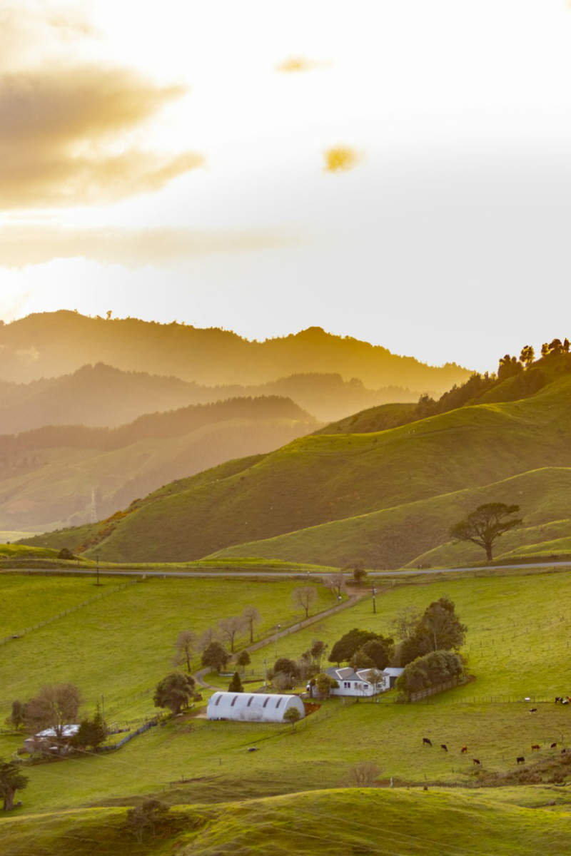 Wall Poster - Farmhouse in New Zealand