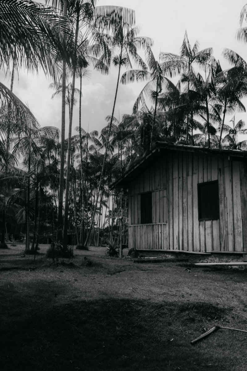 Wall Poster - Farmhouse in the Amazon Rainforest