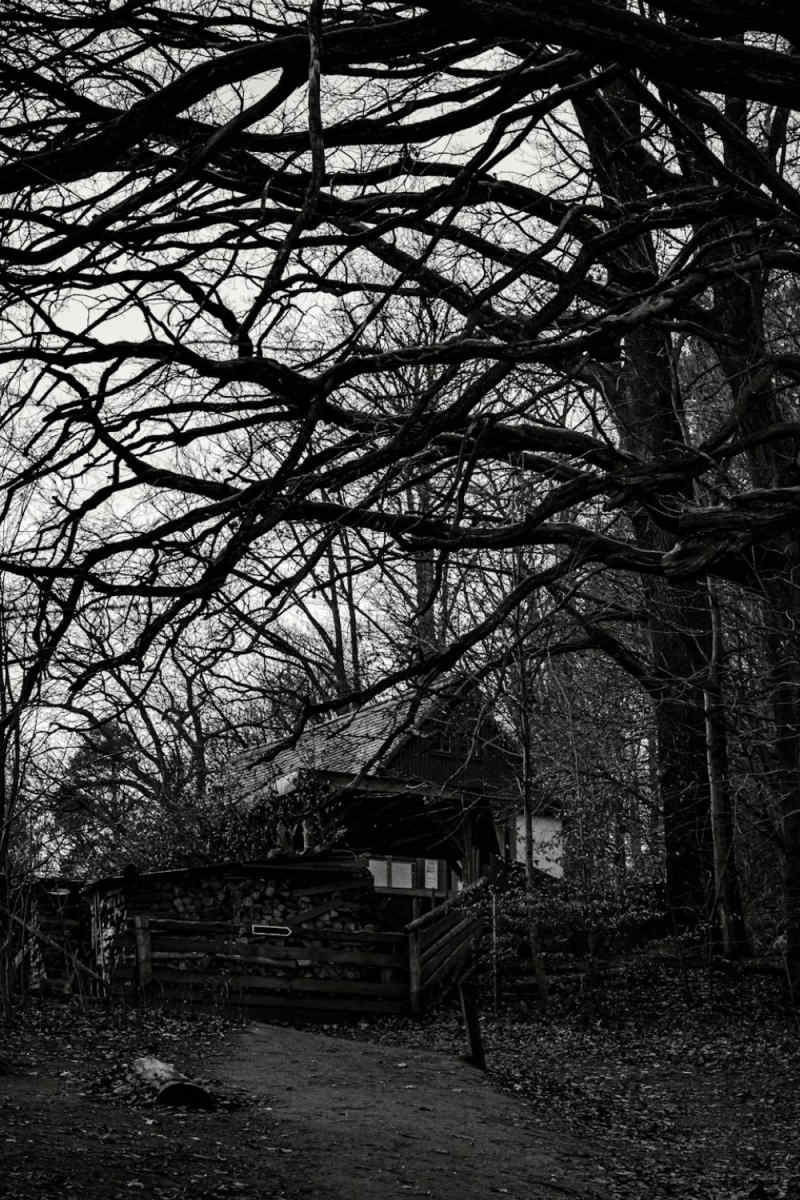 Wall Poster - Farmhouse in the Black Forest