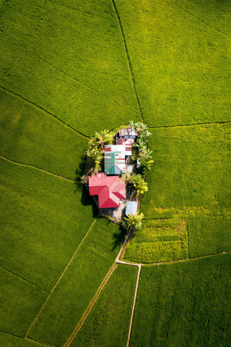 Wall Poster - Farmhouse in the Philippines