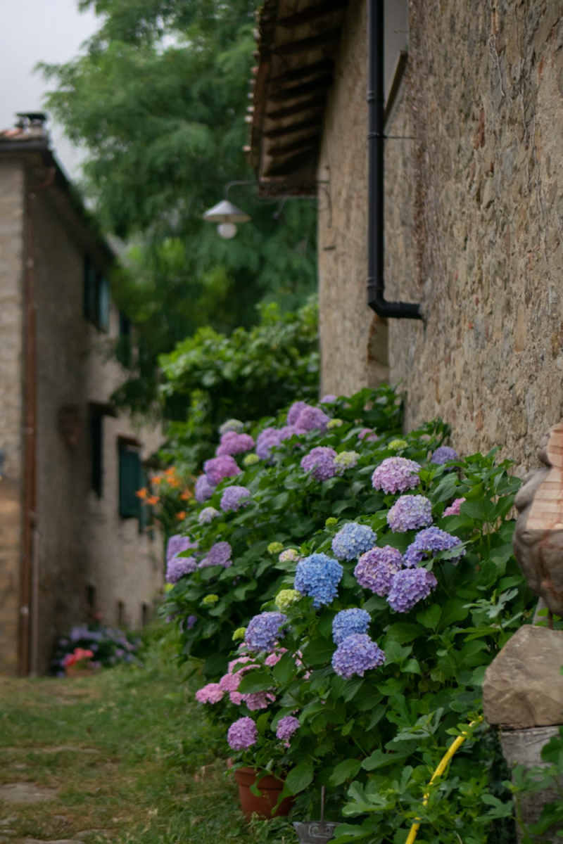 Wall Poster - Farmhouse in Tuscany