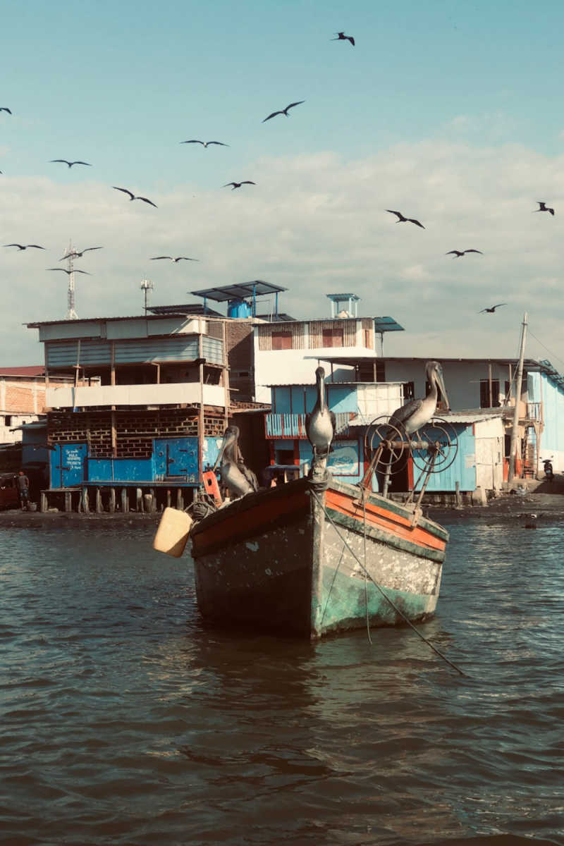 Wall Poster - Fishing Village in Peru