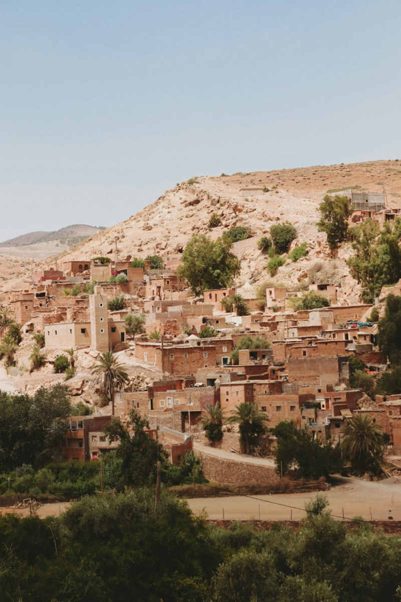 Wall Poster - Forest in Marrakech