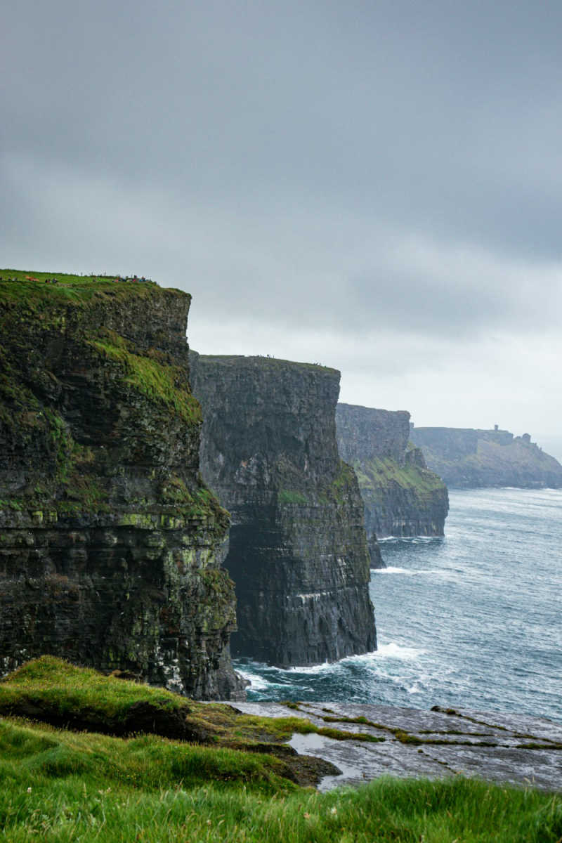 Wall Poster - Forest in the Cliffs of Moher