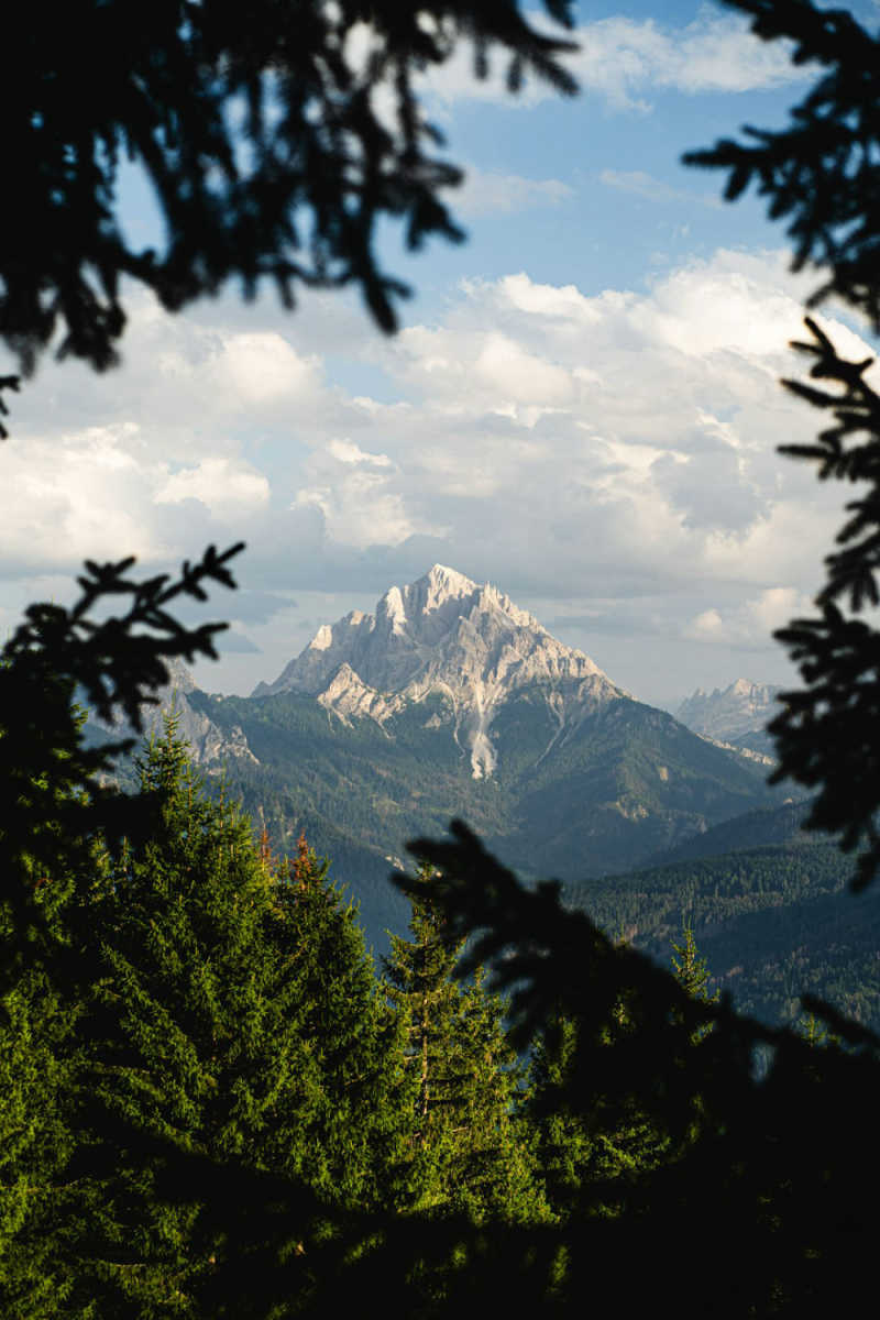 Wall Poster - Forest in the Dolomites