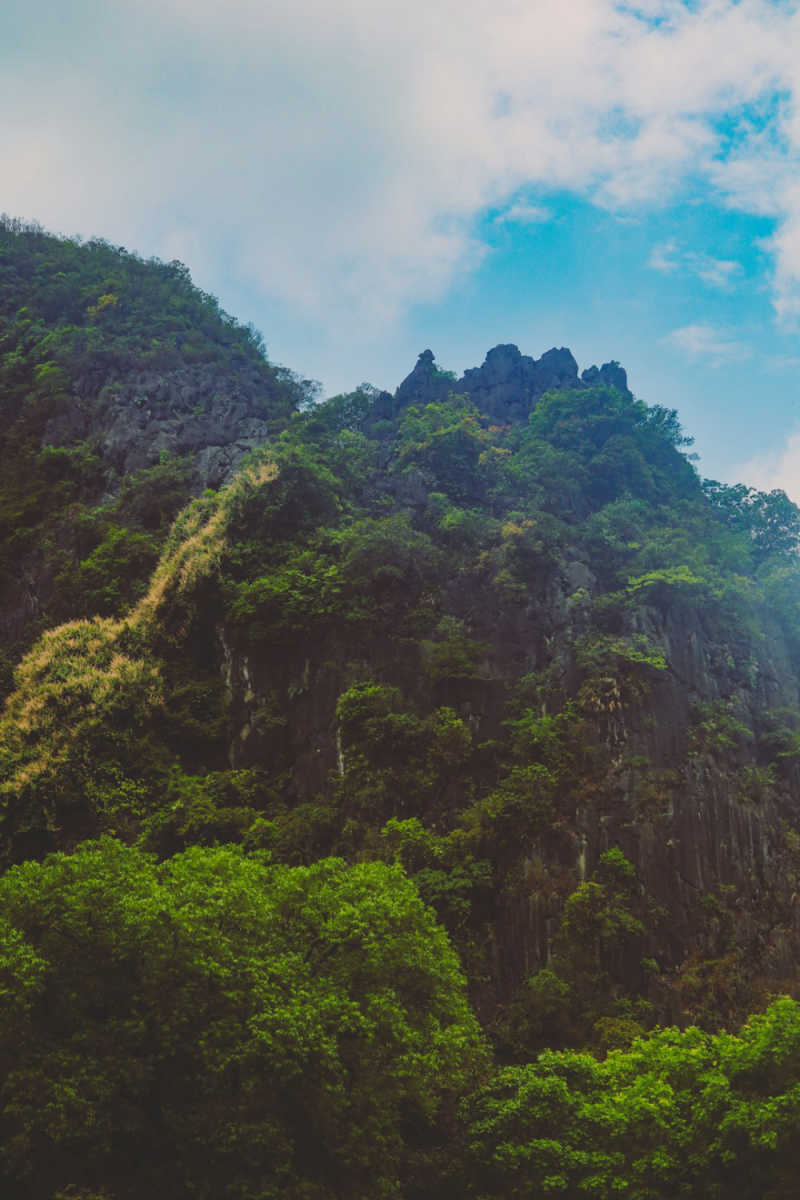 Wall Poster - Forest in Vietnam