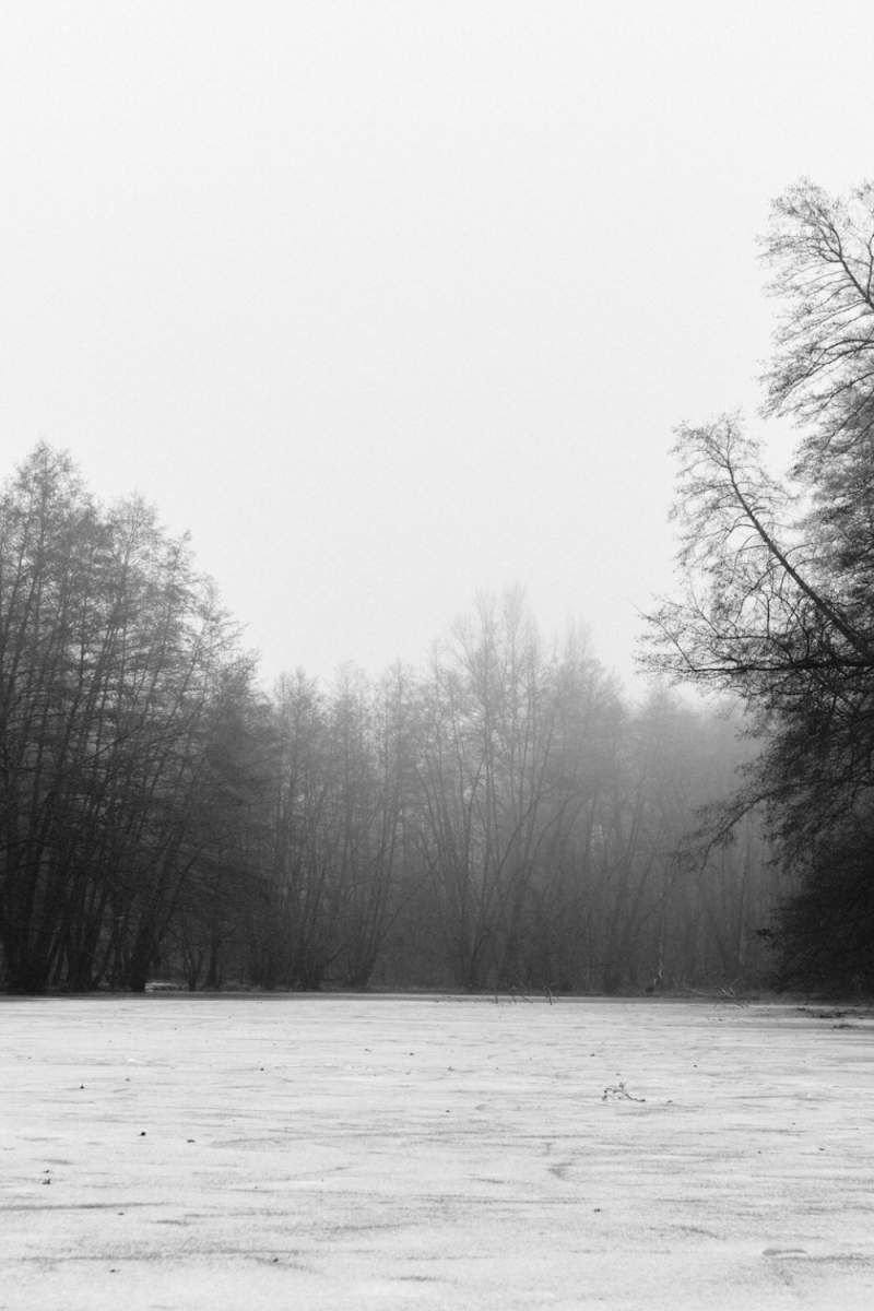 Wall Poster - Frozen Lake in the Black Forest