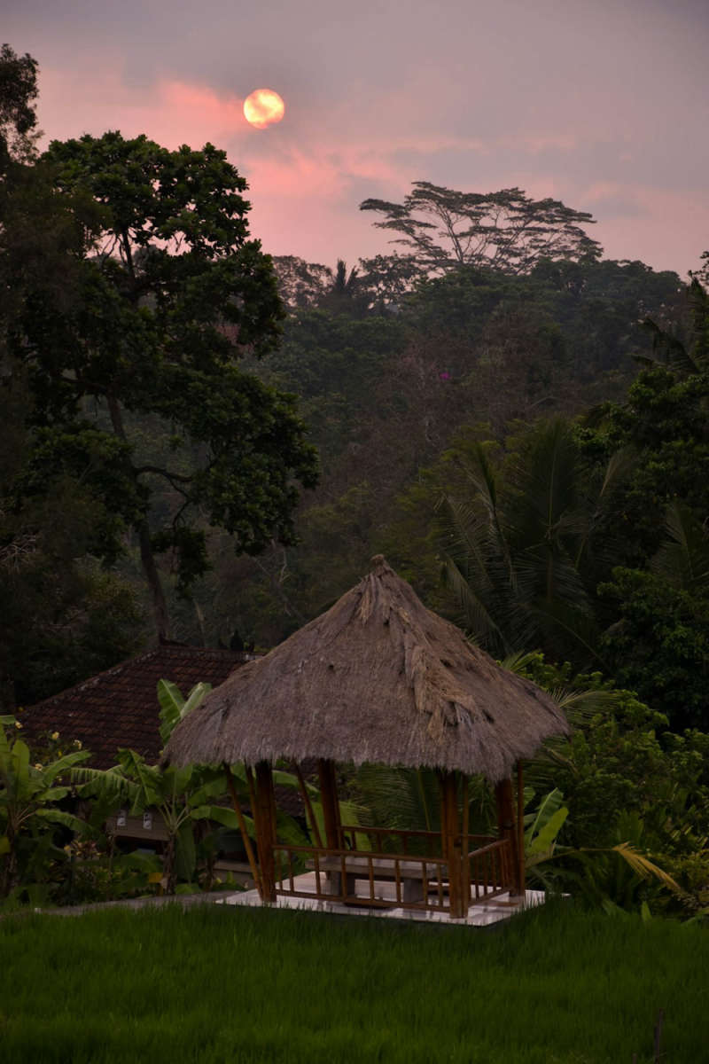 Wall Poster - Full Moon in Bali