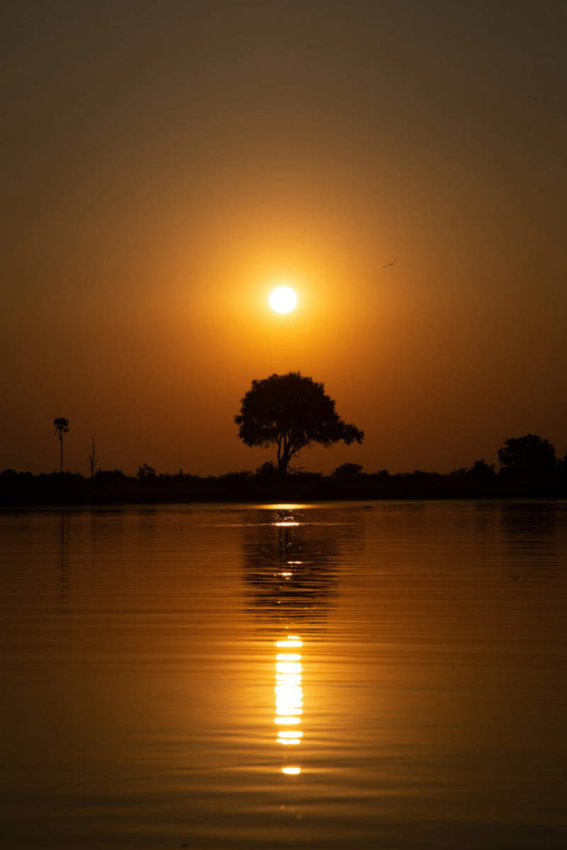 Wall Poster - Full Moon in Botswana