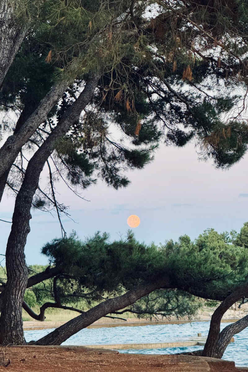 Wall Poster - Full Moon in Croatia