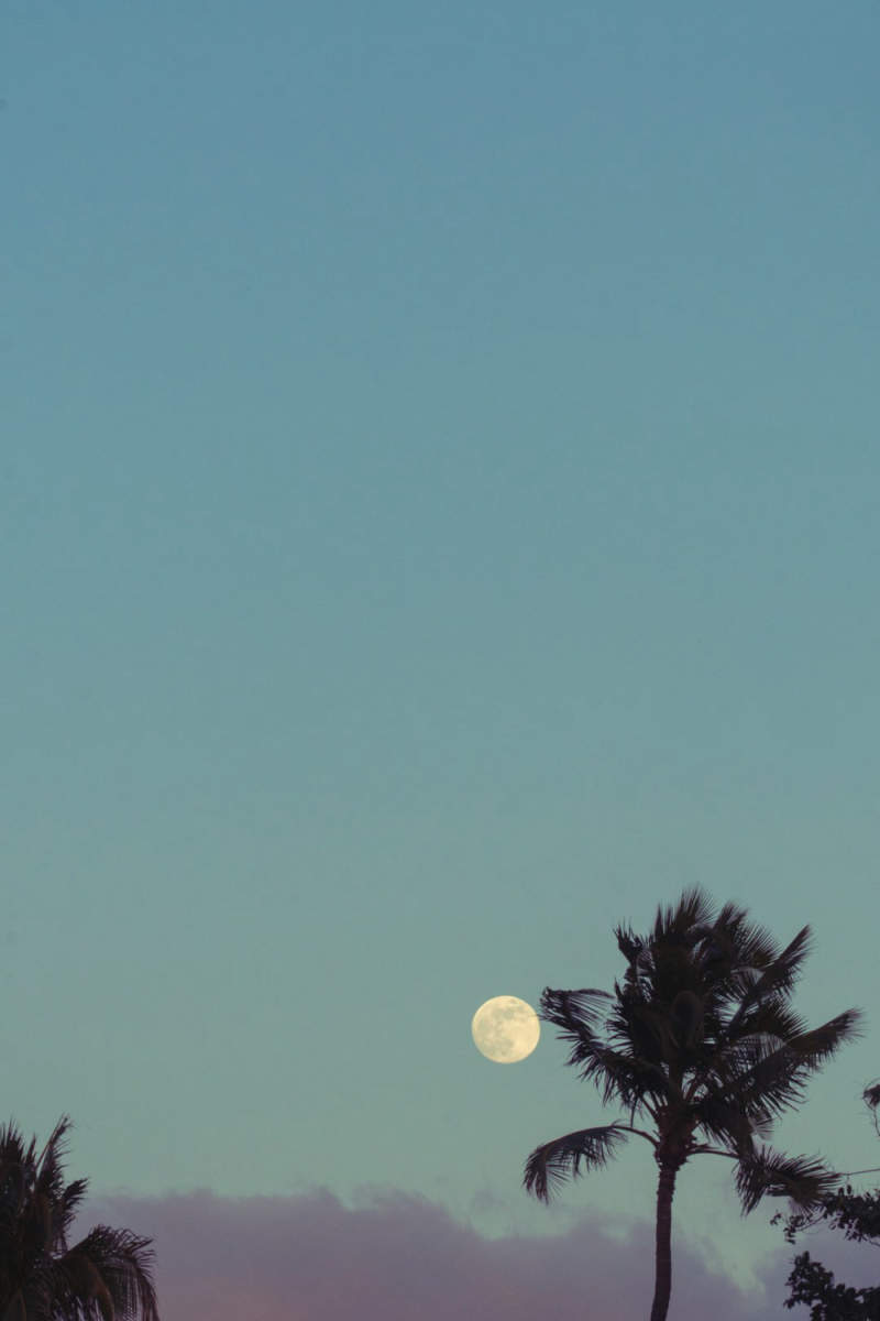 Wall Poster - Full Moon in Hawaii