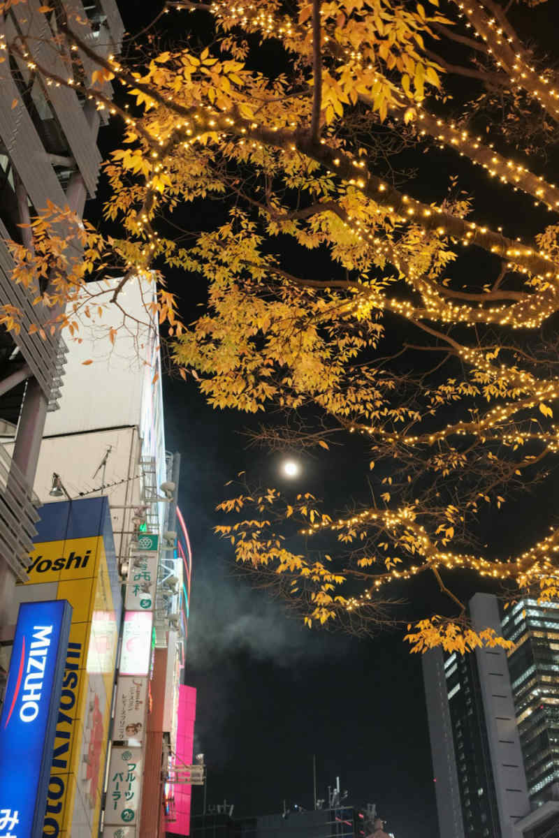 Wall Poster - Full Moon in Japan