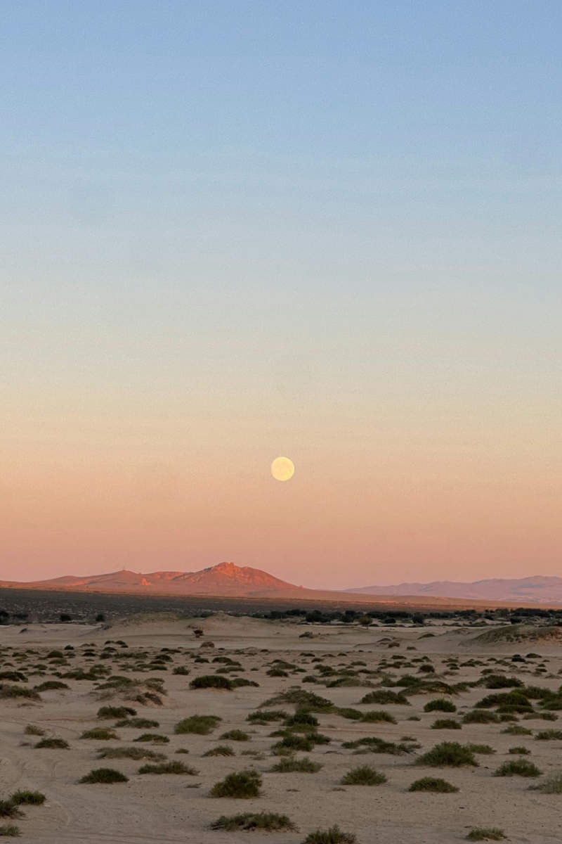 Wall Poster - Full Moon in Mongolia