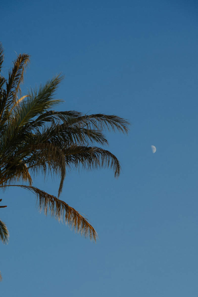 Wall Poster - Full Moon in Morocco