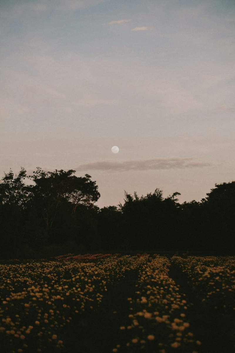 Wall Poster - Full Moon in Thailand